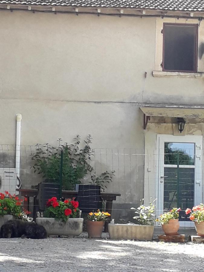 Ferienwohnung Le Rebattu 3 Raphèle Exterior foto